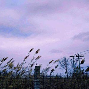 女警察光腚撒尿
